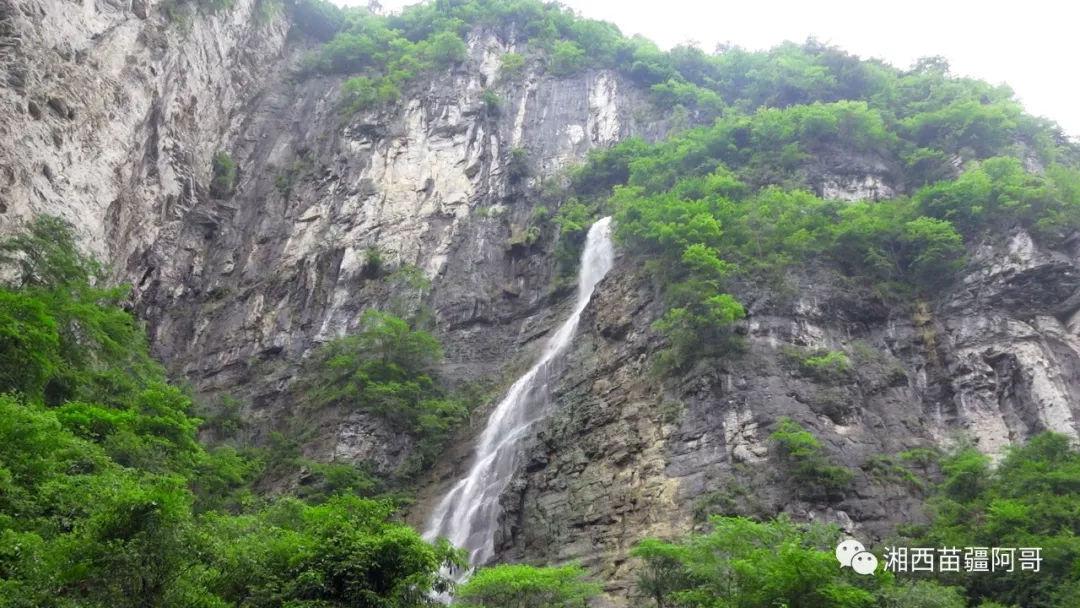 海岛大亨3